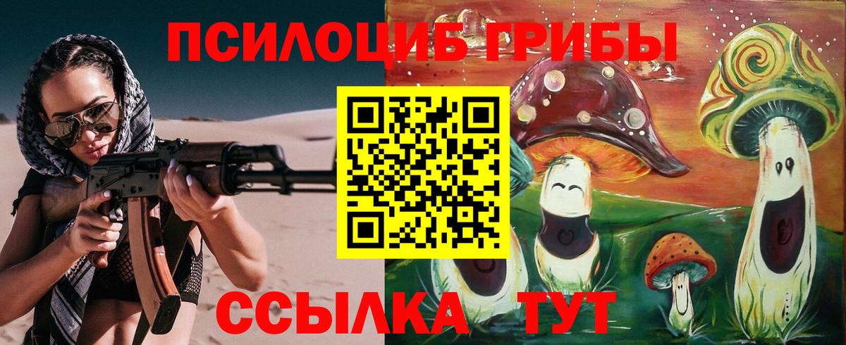 Галлюциногенные грибы прущие грибы  Вход с VPN  Гусев 