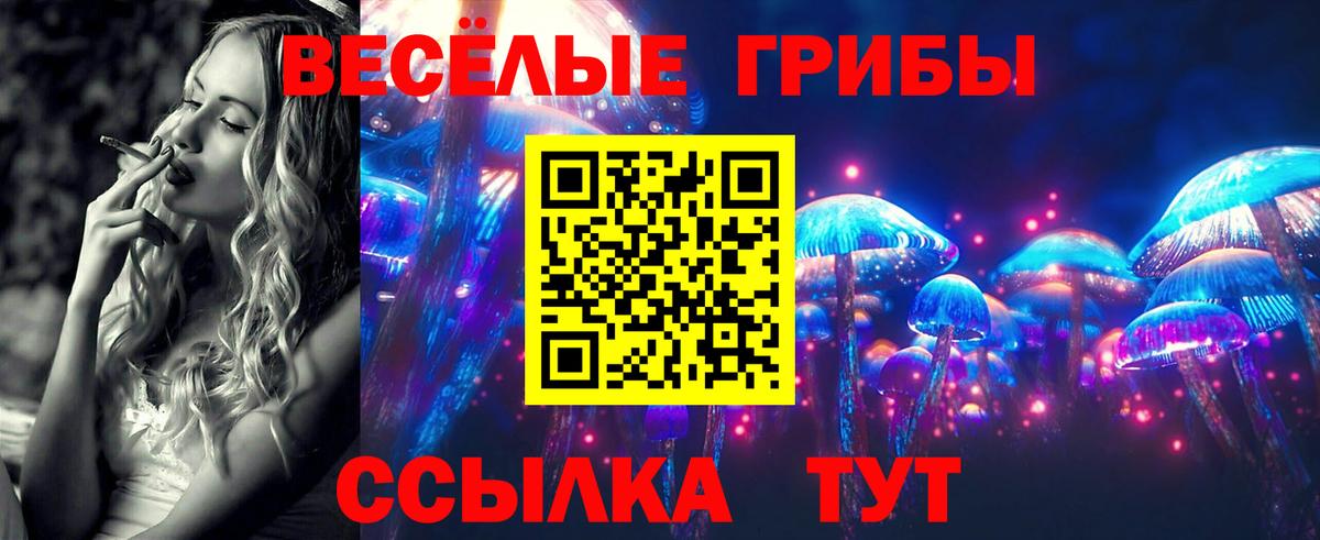 Псилоцибиновые грибы Magic Shrooms Гусев