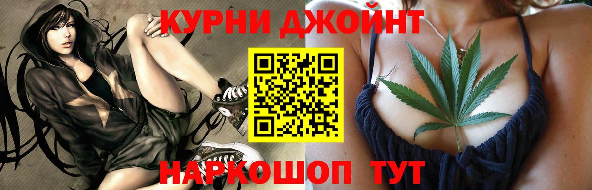 Каннабис индика Гусев